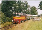 750.209 u Lukavice v . v srpnu 1999