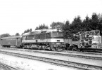Osobn vlak Lichkov - Medzilesie, ervenec 1993