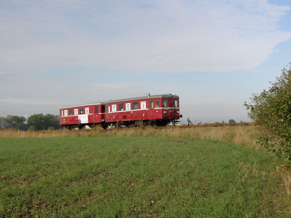 M131.1228, volebn vlak strany slo 8. Holice, 23.9.2012
