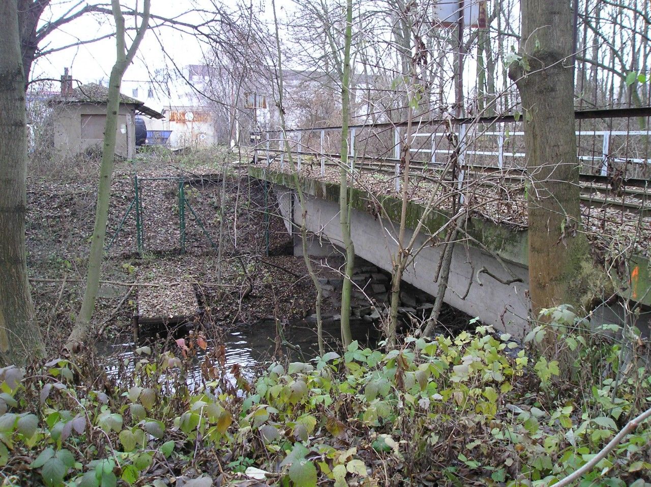 Bon pohled na most pes potok, rozvtven a remzu