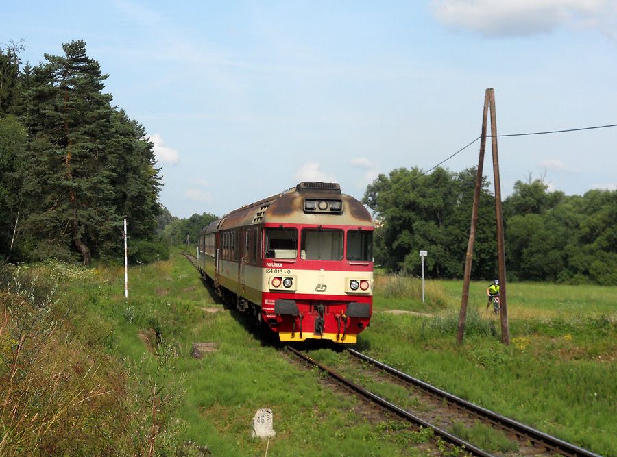 854 013-0 na konci Os 4806 mezi Vladislav a Teb 20. ervence 2013