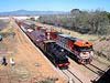 Tra Alice Springs – Darwin po roce provozu