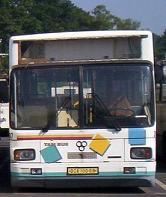 TAM bus
