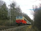 S499.0258-hlavy-Os 8912.