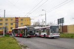 Srovnn trolejbus 32 Tr a 21 Tr. 426 a 393 Ohrazenice tona 18.11.2019