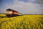 749.257, sek Bystrovany - Olomouc, R1128, 1.5.2011