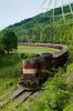 742.263, 6.5.2014, Vlrsk prsmyk - Horn Srnie