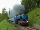 498.022 - Lun u Rakovnka 14.5. 2011