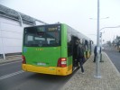 Autobus NAD na provizorn konen Junikovo