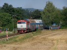 749.006 - os. 9055 - Krhanice - 12.8.2012.