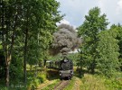 U46.101, Os 280, J.Hradec - odb. Kanclov, 18.7.2014