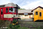 Lhotka u Mlnka - 23.8.2014 ken Sp 1938 a Os 16431