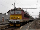 242 203-8, Petice