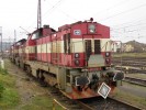 730 010-6, esk Tebov