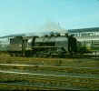 534.0301 - erven 1980