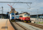 242 254 a 651 210 - Plze hl.n 13.09.2022