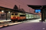 242-219-Brno-K.Pole-8.1.2013.tif.jpg