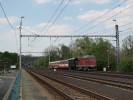 T 435 0108_Sp 1597 Praotec ech_Roztoky u Prahy_23.4.2011