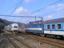 D 362.057 Velk Chuchle 9.3.2012