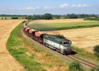 750.275, Mn 81095, Uhiice, foto: Petr tembrek