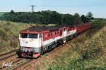 751 070+022 Hjek-dalovice 16.6.2004