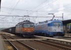 181.024 + 380.010_Zabori nad Labem_18.5.2014