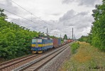 363.006, Nex 41731, Devnsk Jazero, 15.6.2016