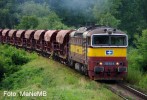 750 163 - 28.7.2009 MB-Neuberk