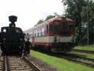 Setkn 310.072 s kottem 842.012, Lochovice, 2009