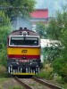 754 044-6, Valask Mezi, 6.8.2010, foto: Dobi Ji