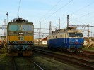 363.038-1 a 350.004-8 - Plze 3.4. 2011 Zdravm fru z 038!