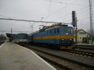 21.12.2012 R641 Male