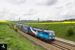 383.009, Nex 41327 (Dn st.hr. - Brno Jih), Nhov - Vlkov u Tinova, 19.5.2021