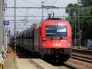 1216.239 s ucelenkou polskch voz Fallns ve Starm Mst u UH dne 7.9.2013.