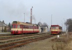 Setkn 810 a naeho bvalho mazlka v Senici 2.1.2013