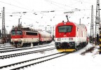 240.081+381.001  Bratislava 17.02.12