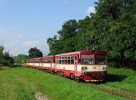 810.373, Jankovice, Os 3919, 4.8.2010