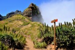 Stezka na nejvy horu Madeiry - Pico Ruivo