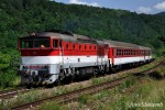 750 221 - 13.7.2011 Pila-Podkriv 6212