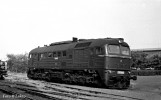 T679.1196  L.D.Chomutov 6.6.1982