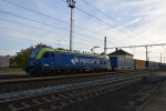 260 005, Zbo nad Labem,21.10.24