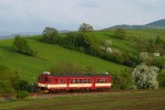 842.010 , Krhov , 6.5.2010, foto:Vojtch Gek