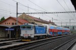 754 067 + Elefant