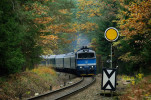 754.062 s R 321 u pedvsti do st. Majdalna dne 27.10.2024