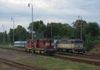 742.345+334 (Lv do Beclav), 754.018 (pipraven na Sp1824/25), Mikulov na Morav, 9.8.2014, 18:30