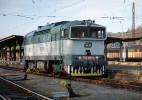 754.016 Krpole 2.3.2013