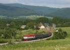 T478.1004 a 1001, Sklen, 31.5.2014