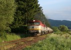 751 174+124, Pn 57121, Horn tuba, 31.5.2014