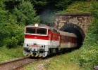 754 033 Harmanec - Doln Harmanec, abradsk I tunel, 27.8.2007