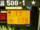 TT H 029 (2)